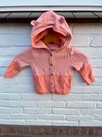 Roze gebreid baby vestje met capuchon – maat 74/80 herfst, Ophalen of Verzenden, Zo goed als nieuw, Meisje, Truitje of Vestje