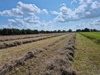 Hooibalen 2e snede, geschikt voor paarden, Dieren en Toebehoren, Dierenvoeding, Ophalen