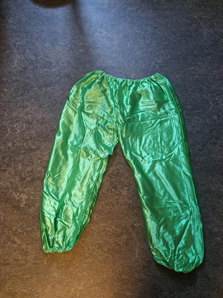 Carnavalskleding heren, Ophalen of Verzenden, Zo goed als nieuw, Maat 56/58 (XL)