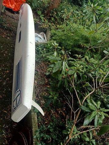 Gratis surfplank - compleet en functioneel > 3.30 beschikbaar voor biedingen