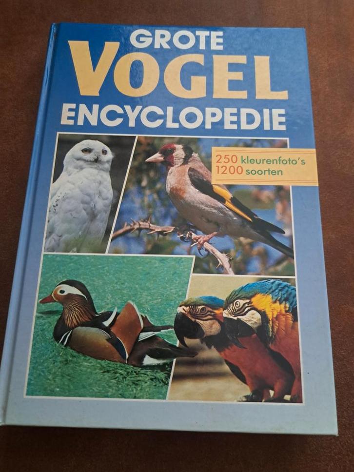 Grote Vogel Encyclopedie, Boeken, Natuur, Zo goed als nieuw, Vogels, Ophalen of Verzenden