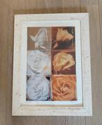 Schilderij (print) Blooming Rose, 65x85cm, nieuw, Nieuw, Ophalen of Verzenden, Print, 75 cm of meer