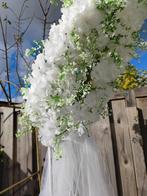 Bruilof decoratie tehuur, Ophalen of Verzenden, Volle zon, Overige soorten, Minder dan 100 cm