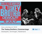 The teskey brothers summerstage, Tickets en Kaartjes, Twee personen, Juli
