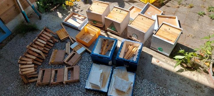 Koninginnenteelt Kieler kastjes en zelfbouw, Dieren en Toebehoren, Insecten en Spinnen, Bijen