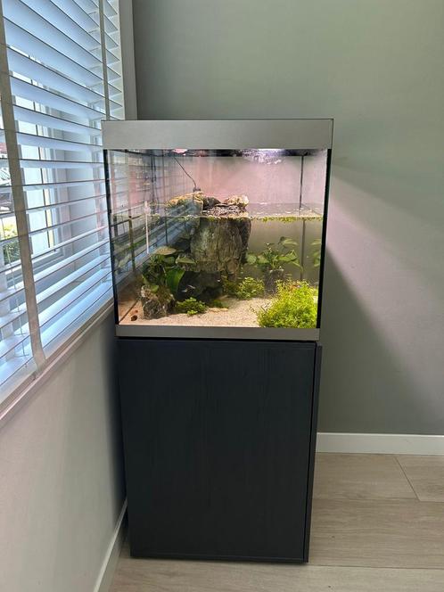 Fluval Siena 160 Aquarium, Dieren en Toebehoren, Vissen | Aquaria en Toebehoren, Zo goed als nieuw, Gevuld zoetwateraquarium, Ophalen