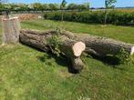 Gratis haardhout, Minder dan 3 m³, Ophalen, Overige houtsoorten, Blokken