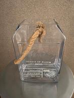 RM bloemenvaas Paris, Ophalen, Overige kleuren, Minder dan 50 cm, Glas