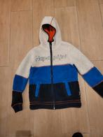 Napapijri Vest Maat 164, Ophalen of Verzenden, Zo goed als nieuw, Napapijri, Jongen