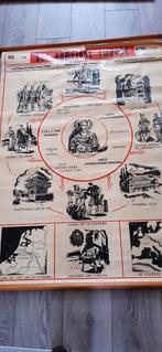 Antieke posters, Antiek en Kunst, Ophalen of Verzenden, Natuur en Biologie