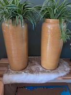 Hoge bloempotten exclusief planten., Huis en Inrichting, Ophalen, Gebruikt, Minder dan 50 cm