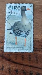 Ierland,  1997, gans, Ophalen of Verzenden, Gestempeld, Dier of Natuur