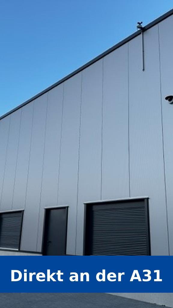 Moderne bedrijfs- en opslaghal ca. 1.500 m² met kantoor, Zakelijke goederen, Bedrijfs Onroerend goed, Bedrijfsruimte, Koop