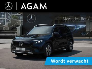 Mercedes-Benz EQB 250+ Business Solution 71 kWh beschikbaar voor biedingen