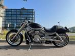 Harley Davidson Chopper VRSCA V-Rod, Chopper, Bedrijf, 1130 cc, Meer dan 35 kW