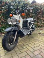 Mooie Honda Zoomer NPS50 – 2017 - in prijs verlaagd!, Fietsen en Brommers, Brommers | Honda, Ophalen, Gebruikt, Overige modellen