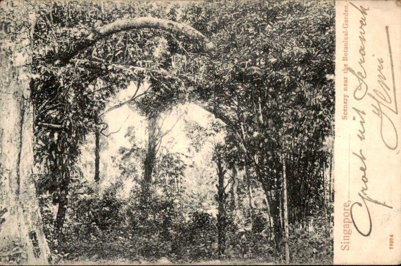 Singapore - 1910, Verzenden, Voor 1920, Gelopen, Buiten Europa