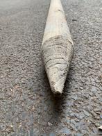 4x Geïmpregneerde Boompalen 250x8cm Gepunt, Tuin en Terras, Ophalen, Gebruikt, 250 cm of meer, Palen