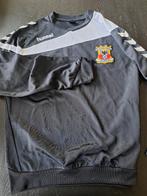 Go Ahead Eagles sweater maat M, Ophalen, Zo goed als nieuw, Overige binnenlandse clubs, Shirt
