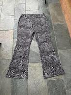 Nieuwe broek van Helena Hart maat XXL, Verzenden, Paars, Maat 42/44 (L), Nieuw