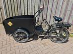 Cangoo Groovy E elektrische bakfiets, 4 kinderen of meer, Gebruikt, Elektrisch, Ophalen
