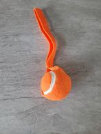 Hondenspeeltje bal, Ophalen of Verzenden, Zo goed als nieuw, Intelligentiespeelgoed