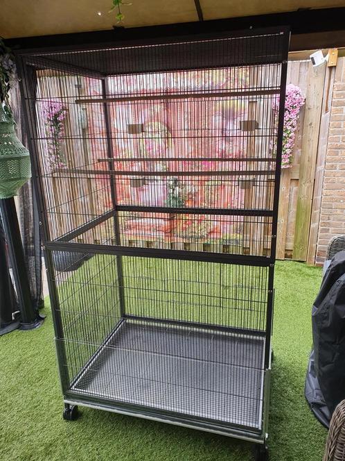 Kamervoliere,  binnenvoliere,  grote kooi, grote vogelkooi, Dieren en Toebehoren, Vogels | Hokken en Kooien, Vogelkooi, Hout, Ophalen