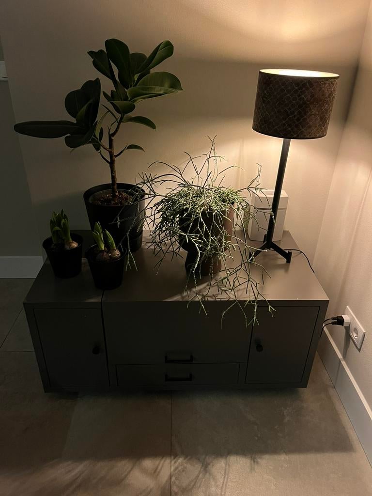 Prachtig design kastje, Ophalen