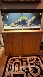 Juwel rio 180 compleet set, Dieren en Toebehoren, Vissen | Aquaria en Toebehoren, Ophalen, Zo goed als nieuw, Gevuld zoetwateraquarium