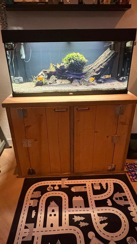 Juwel rio 180 compleet set, Dieren en Toebehoren, Vissen | Aquaria en Toebehoren, Zo goed als nieuw, Gevuld zoetwateraquarium