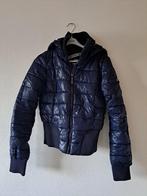 blauwe coolcat jas maat m, Maat 38/40 (M), Blauw, Ophalen of Verzenden, Zo goed als nieuw