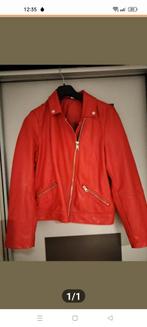 Ledere jas, Kleding | Dames, Rokken, Zwart, Maat 42/44 (L), Ophalen of Verzenden, Zo goed als nieuw