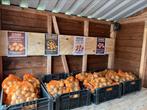 Nieuwe oogst aardappelen! Doré Frieslanders Twister Twinner, Ophalen of Verzenden