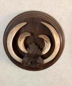 Keiler Tanden uit Ermelo, Ophalen of Verzenden, Gebruikt