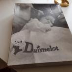 Prachtig doopjurkje in doos, Antiek en Kunst, Ophalen of Verzenden