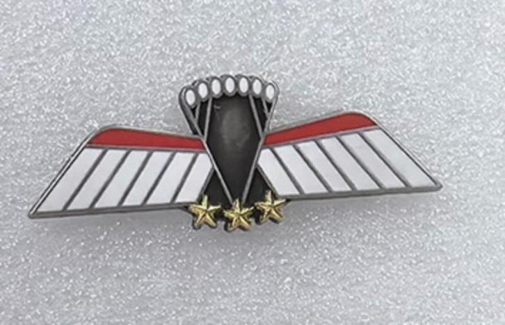 Miniatuur metalen parawing C ops (KCT/MARSOF) gala, Verzamelen, Militaria | Algemeen, Landmacht, Lintje, Medaille of Wings, Nederland