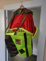 Carnavalskleding - Compleet Kostuum, Ophalen of Verzenden, Gedragen, Maat 38/40 (M), Carnaval