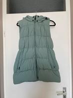 airforce eucalyptus groene puffer bomber bodywarmer mt S, Airforce, Ophalen of Verzenden, Zo goed als nieuw, Maat 36 (S)