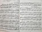 Fröliche Weißen aus Wien - Piano / Zang - Nieuwstaat, Muziek en Instrumenten, Bladmuziek, Zang, Ophalen of Verzenden, Zo goed als nieuw