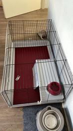 Knaagdieren kooi, Dieren en Toebehoren, Kooi, Zo goed als nieuw, 75 tot 110 cm, Cavia