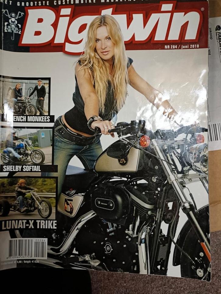 BIG TWIN, Boeken, Motoren, Gelezen, Ophalen of Verzenden