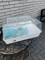 Hamster  kooi., Dieren en Toebehoren, Minder dan 60 cm, Kooi, Gebruikt, Minder dan 75 cm
