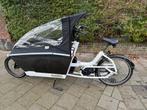 Urban Arrow Family Active Line (2018) Bakfiets, Gebruikt, Elektrisch, 2 kinderen, Ophalen