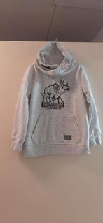 Trui, Kinderen en Baby's, Kinderkleding | Maat 116, Trui of Vest, Ophalen of Verzenden, Zo goed als nieuw, Dopodopo