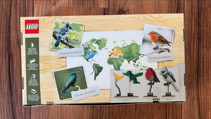 Lego 21301 Vogels NIEUW, Kinderen en Baby's, Speelgoed | Duplo en Lego, Nieuw, Lego, Complete set, Ophalen of Verzenden