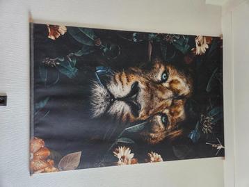 Poster Leeuw beschikbaar voor biedingen