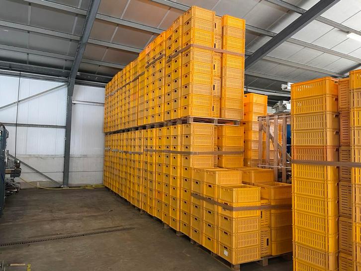 850 Stapelkratten Opslagbakken krat kist kisten  magazijnbak, Doe-het-zelf en Verbouw, Kratten en Dozen, Zo goed als nieuw, Krat