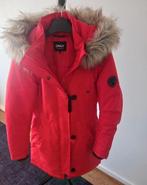 Nieuw: Rode jas van Only, Kleding | Dames, Jassen | Winter, Only, Zo goed als nieuw, Rood, Ophalen