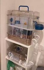 Hamster Cage + Accessories, Dieren en Toebehoren, Ophalen, Kooi, Hamster, 60 tot 90 cm