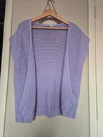 Anna van toor gilet vest xl lila, Anna, Paars, Maat 46/48 (XL) of groter, Ophalen of Verzenden